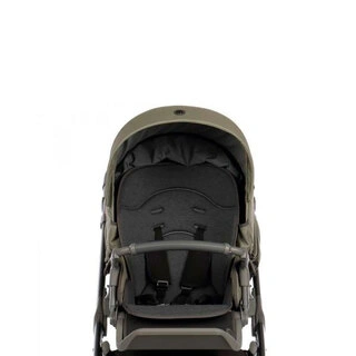 Коляска 2в1 Roan Bass Next Plum