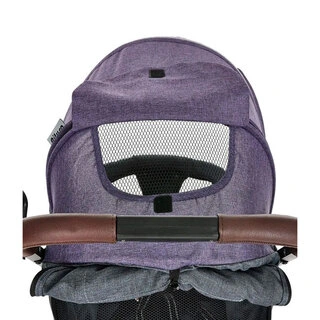 Прогулочная коляска Pituso Camino Черный/Слива