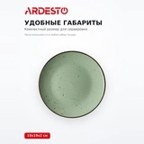 Тарелка Ardesto AR2919GGC - фото 4