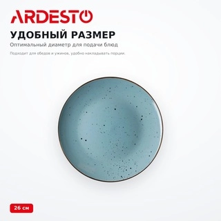 Тарелка Ardesto AR2926BGC - фото 5