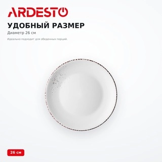 Тарелка Ardesto AR2926WMC - фото 4