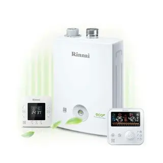 Газовый котел Rinnai RBK357RTU