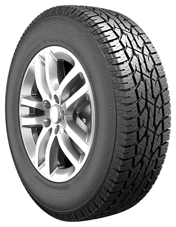 Шина Blackhawk HIscend-H HA01 265/75 R16 123/120Q летняя  - фото 3