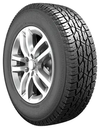 Шина Blackhawk HIscend-H HA01 265/75 R16 123/120Q летняя 