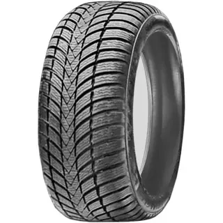 Шина Triangle TW421 225/55/19 (103V) зимняя 