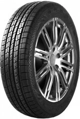 Double Star DS01 225/65 R17 102T  - фото 3