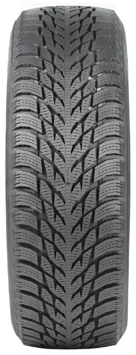 Nokian Hakkapeliitta R3 215/50 R17 95R без шипов  - фото 2