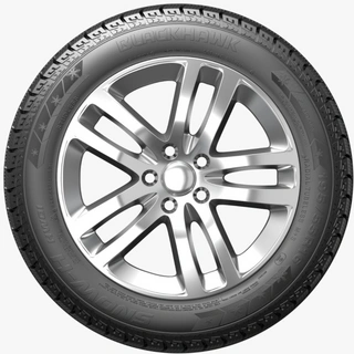 Шина Blackhawk Ice Prey HW01 215/60/R16 99H XL зимняя 