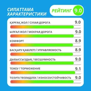 Шина Transmate Transerenus Eco 215/55ZR17 98W летняя  - фото 3