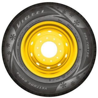 Зимняя шина Viatti Vettore Brina V-525 215/65 R16C 109/107R