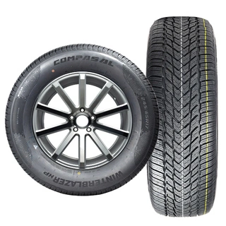 Зимняя шина Compasal WinterBlazer HP 205/65R15