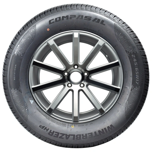 Зимняя шина Compasal WinterBlazer HP 205/65R15 - фото 4