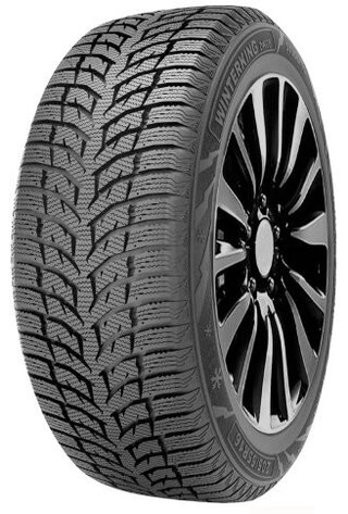 Double Star DW08 225/40 R18 92H без шипов 
