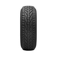 Шина Tigar Winter TG 205/45 R17 94H зимняя 