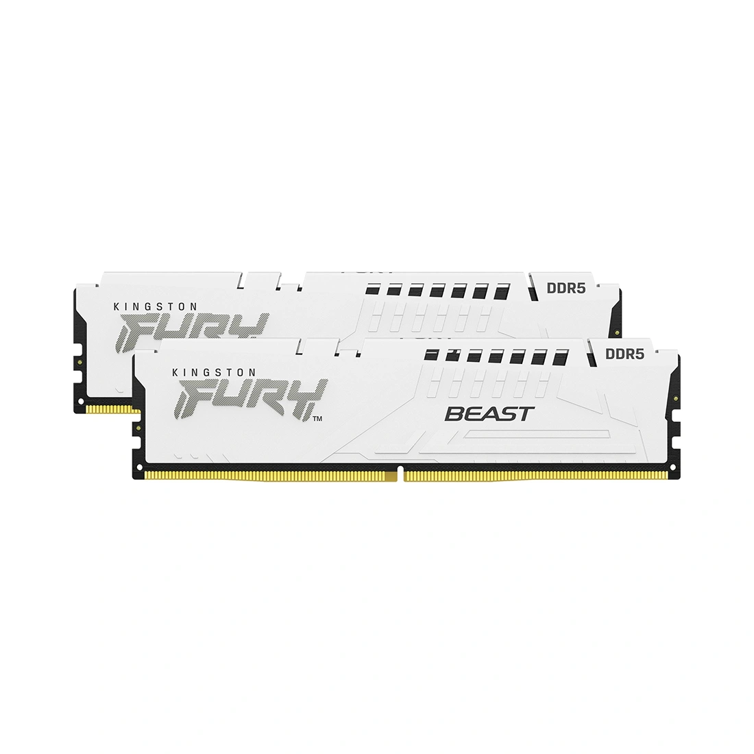 Комплект модулей памяти Kingston FURY Beast KF552C40BWK2-64 DDR5 64GB (Kit 2x32GB) 5200MHz 