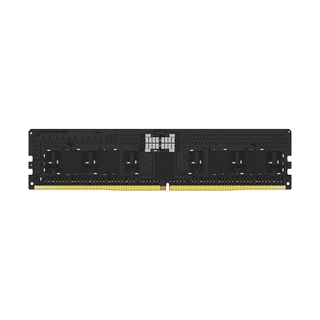 Модуль памяти Kingston FURY Renegade Pro XMP KF556R36RB-16 DDR5 16GB 5600MHz RDIMM KF556R36RB-16