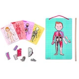 Janod  магнитті ойын жинағы Адам денесі J05491