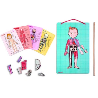 Janod  магнитті ойын жинағы Адам денесі J05491