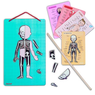 Janod  магнитті ойын жинағы Адам денесі J05491