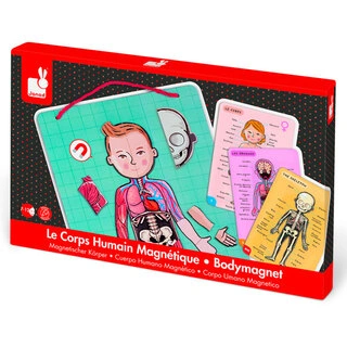 Janod  магнитті ойын жинағы Адам денесі J05491