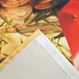 Фотошторы Шишки и подарки - фото 4