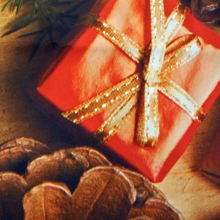 Фотошторы Шишки и подарки - фото 3