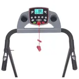 Беговая дорожка DFC Corsa T-120 - фото 2