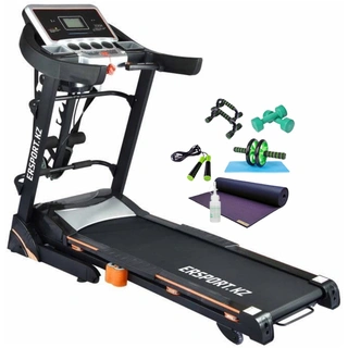 Беговая дорожка ErSport 980 DS Pro