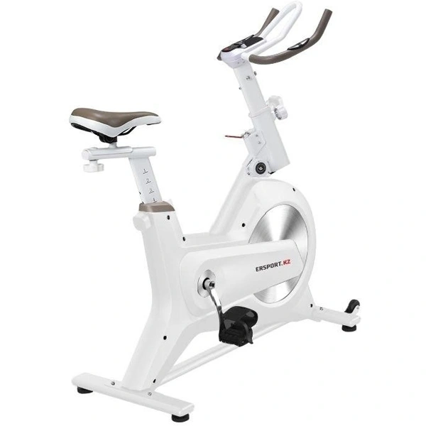 Велотренажер ErSport Spin Bike D9 v2.0 Белый