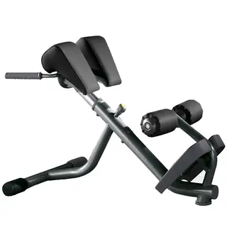 Скамья - гиперэкстензия TechnoGym Lower Back Bench 