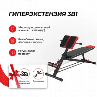 Гиперэкстензия Ersport Bench Press and Hyperextension 2-в-1