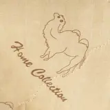 Одеяло облегчённое Адамас "Верблюжья шерсть", размер 200х220 ± 5 см, 200гр/м2, чехол п/э  - фото 2