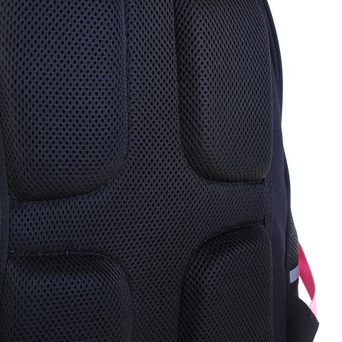 Рюкзак школьный Bruno Visconti, 40 х 30 х 16 см, эргономичная спинка, «Крольчата Милашки», чёрный 