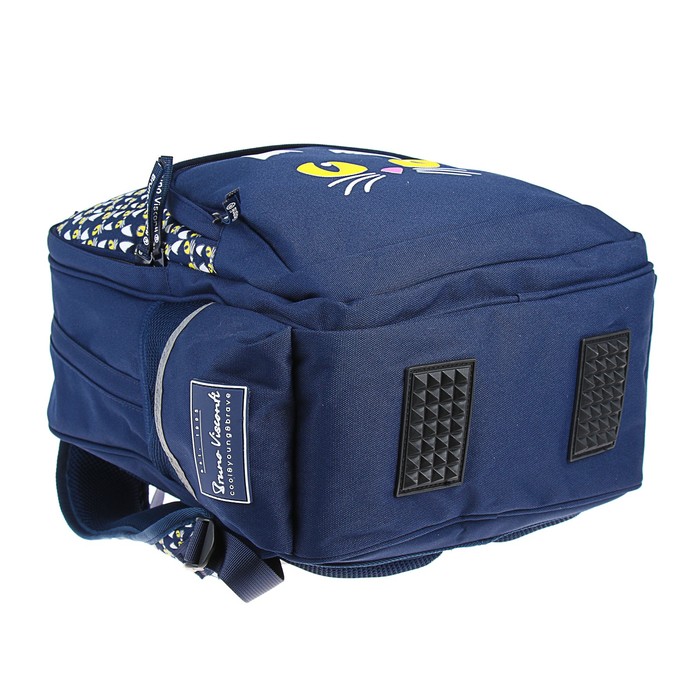 Рюкзак школьный Bruno Visconti, 40 х 30 х 16 см, эргономичная спинка, «Кошачий взгляд», синий 