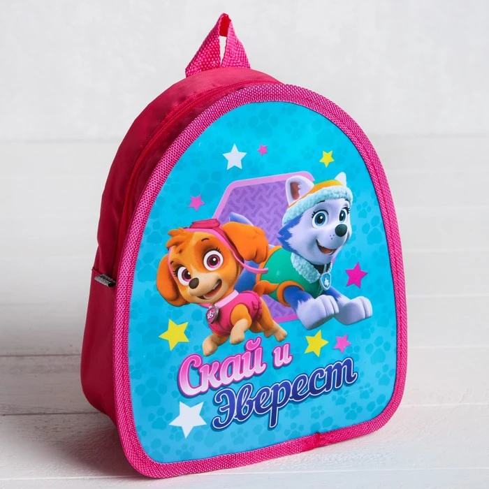 Щенячий патруль. Детский набор "Скай и Эверест" рюкзак + пенал, PAW Patrol  - фото 3