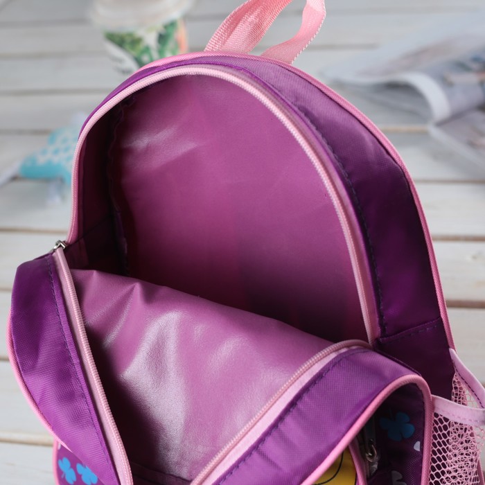 Рюкзак детский, отдел на молнии, наружный карман, 2 боковые сетки, цвет фиолетовый 