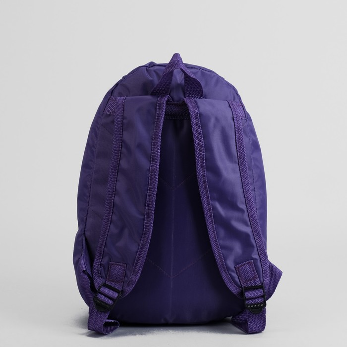 Рюкзак молодёжный, отдел на молнии, наружный карман, цвет фиолетовый 