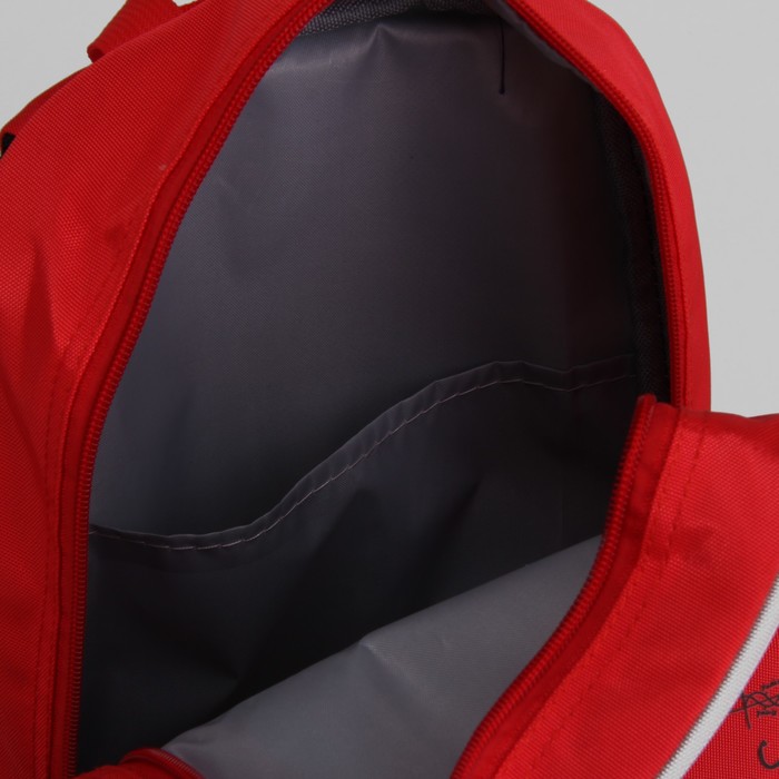 Рюкзак школьный, отдел на молнии, 2 наружных кармана, 2 боковые сетки, дышащая спинка, цвет красный/чёрный 