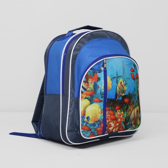 Рюкзак школьный, отдел на молнии, 2 наружных кармана, цвет синий 