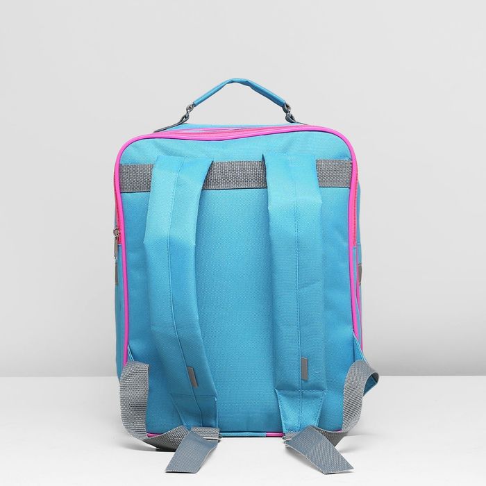 Рюкзак школьный, 2 отдела на молниях, 2 наружных кармана, цвет сиреневый/голубой 