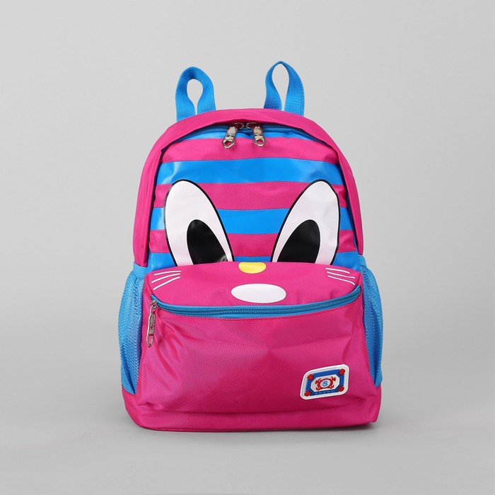 Рюкзак школьный, отдел на молнии, наружный карман, 2 боковые сетки, цвет розовый/голубой 