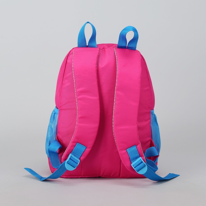 Рюкзак школьный, отдел на молнии, наружный карман, 2 боковые сетки, цвет розовый/голубой 
