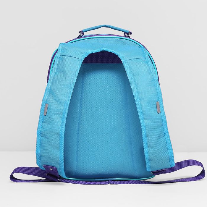 Рюкзак школьный, 2 отдела на молниях, 2 наружных кармана, цвет голубой/фиолетовый 