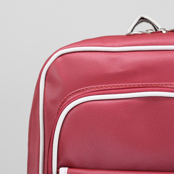 Рюкзак молодёжный, отдел на молнии, 3 наружных кармана, цвет розовый 