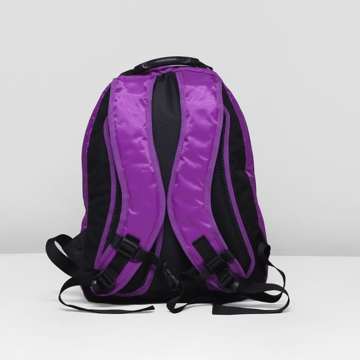 Рюкзак школьный, 2 отдела на молниях, наружный карман, цвет фиолетовый 