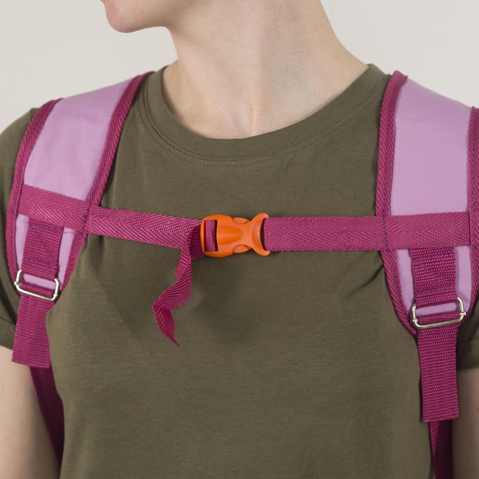 Рюкзак школьный, 2 отдела на молниях, 2 наружных кармана, эргономичная спинка, цвет розовый 