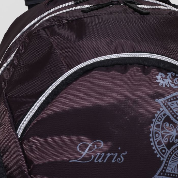 Рюкзак школьный, 2 отдела на молниях, 3 наружных кармана, цвет коричневый 