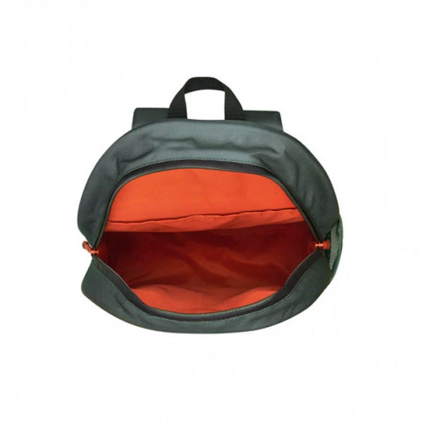 Школьный рюкзак Delsey School 2018 Backpack Khaki - фото 3