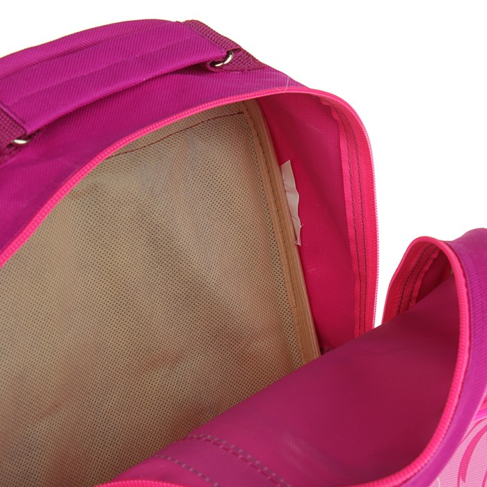 Рюкзак школьный с эргономической спинкой Luris Степашка 37x26x13 см для девочки, «Париж» 