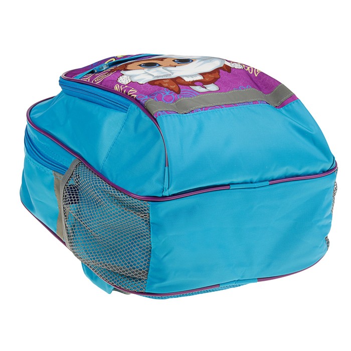 Рюкзак школьный с эргономической спинкой Luris Алекс 39x24x19 см для девочки, «Совушка» 